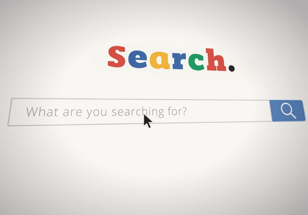 search engine page